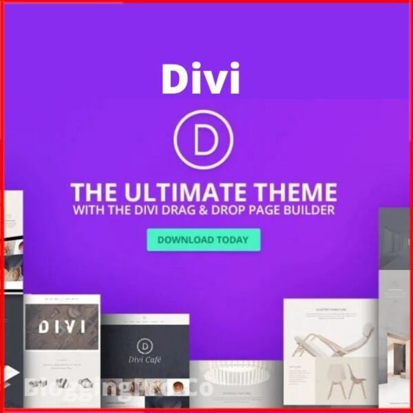 Divi WordPress Theme With API Key